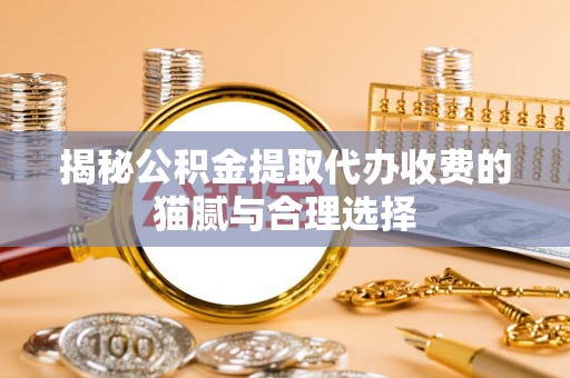 玛家揭秘公积金提取代办收费的猫腻与合理选择