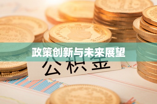 玛家政策创新与未来展望